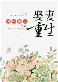 重生娶妻妾成群的