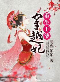 穿越重生之王爷