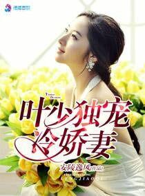 叶少的娇宠甜妻全文免费阅读