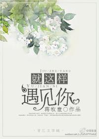 就这样遇见你免费阅读