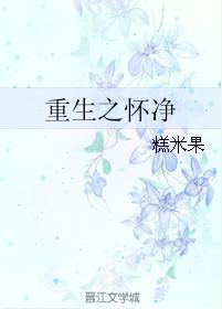 重生之怀净by糕米果讲的什么