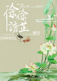 徐徐诱之晋江