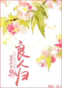 我嫁良人归