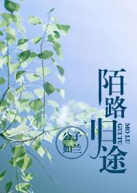 陌路归途短剧合集