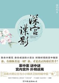 深宫谍影13集