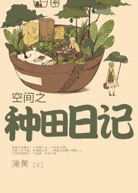 空间种田实操指南