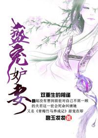 盛宠谋妻全文免费阅读