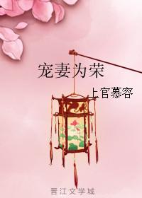 第四本宠妻为上