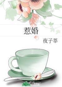 惹婚by夜子莘免费阅读
