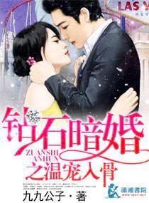 钻石暖婚免费阅读平台