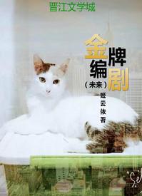 金牌编剧未来txt