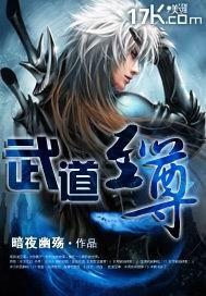 武道至尊境界
