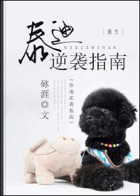 泰迪狗训练方法大全