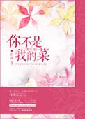 你不是我的菜dj