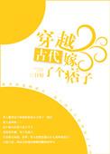 穿越古代嫁了一个痞子