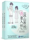 冰山教授电视剧