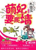 冷王追妻盛宠逃婚小王妃