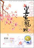 皇家宠媳妇