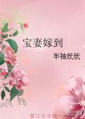 宝妻嫁到结局