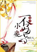 小妾不坏