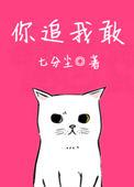 你追我敢无防盗章免费阅读