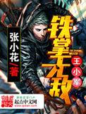 铁掌无敌王小军张小花