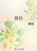 微检盒子是什么