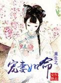 重生之宠妻如命谈