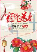 宠你为妻完整版