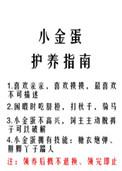 小金蛋使用步骤