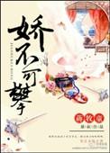 娇不可攀书评
