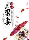 一品男妃