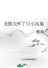 龙傲天怀了只小凤凰结局