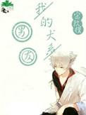 我的犬系男友漫画在线看