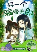 好一个骗婚夫郎笔趣阁