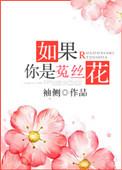 如果你是菟丝花讲的是什么