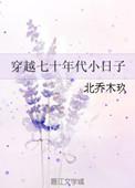七十年代红火小日子免费阅读