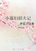 小寡妇招夫记 作者开花不结果