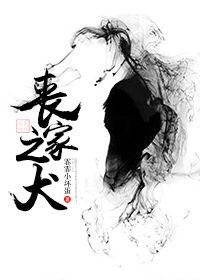 丧家之犬的照片