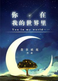 歌词你在我的世界里