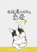 我从来没有过美剧在线观看