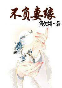 不负妻缘雾矢翊免费阅读全文