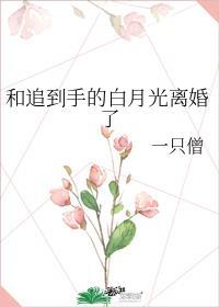 和追到手的白月光离婚了笔趣阁