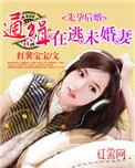 先孕后婚通缉在逃未婚妻全文免费