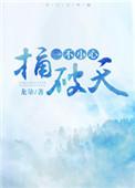 一不小心捅破天龙柒有几万字几章