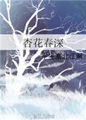 杏花春52度清香型白酒