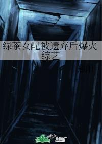 绿茶女配被遗弃后爆火综艺叶娴阳免费阅读