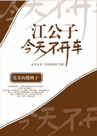 江公子是什么电视剧