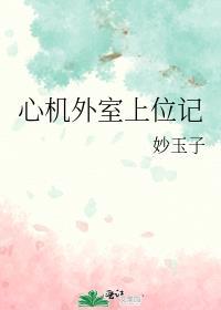 心机外室上位古言文