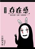 综存在感TXT百度